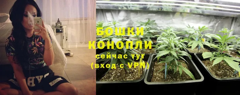 Бошки Шишки Ganja  блэк спрут ссылка  Электросталь 